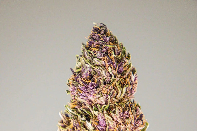 Black Dolomia 5g | Cannabis Light Premium | Fiori CBD Naturali La Mota CBD