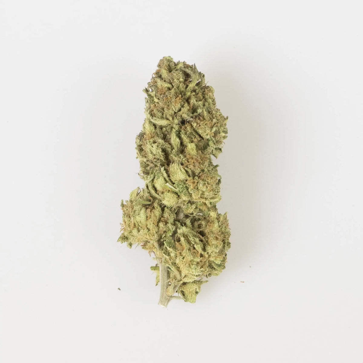 Erba Legale CBD La Mota - OG-Babol - 2 gr La Mota CBD
