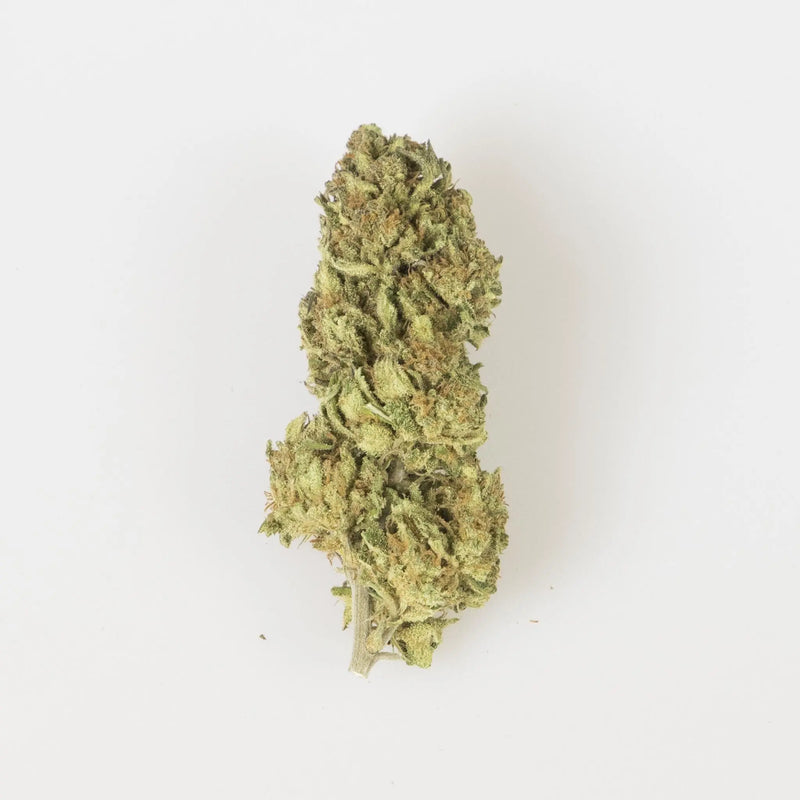 Erba Legale CBD La Mota - OG-Babol - 2 gr La Mota CBD