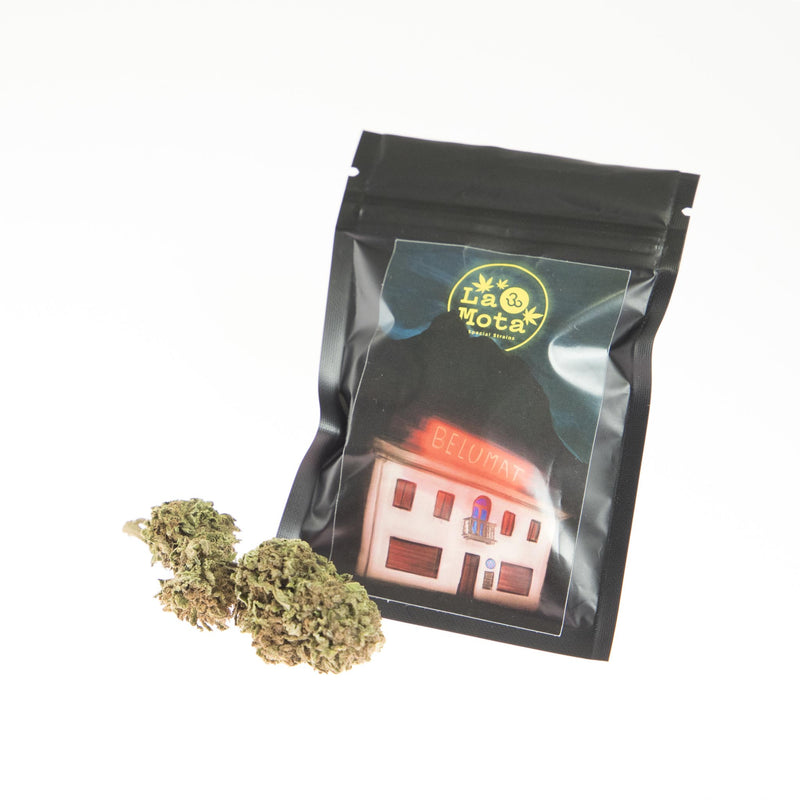 Cannabis Light Legale Belumat - 25 gr La Mota CBD