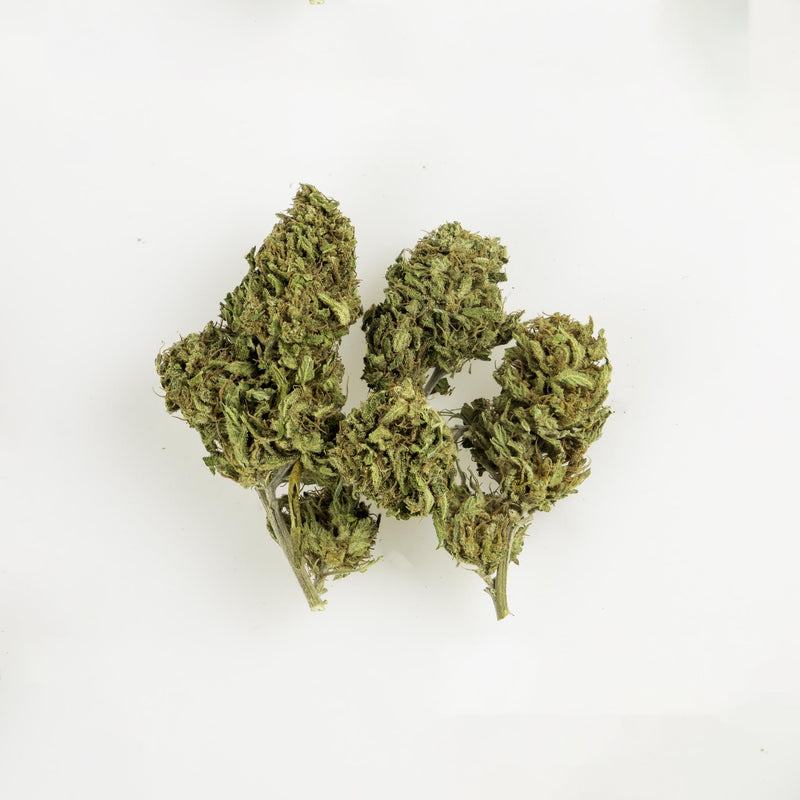 La Lopa Cannabis Light 2g | Outdoor | CBD shop online