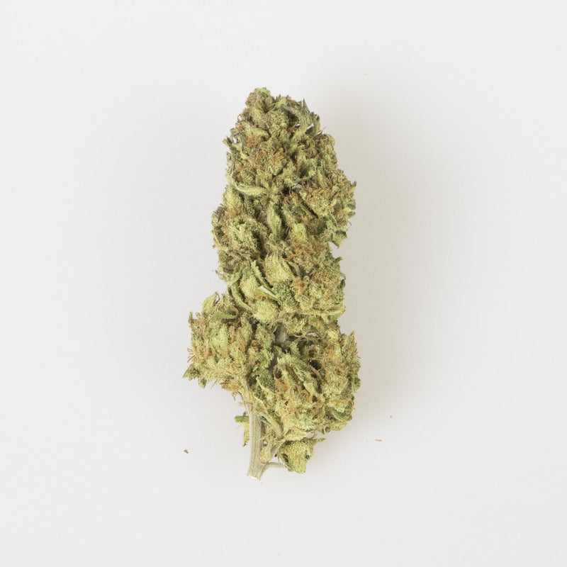 Erba Legale CBD La Mota - OG-Babol - 2 gr