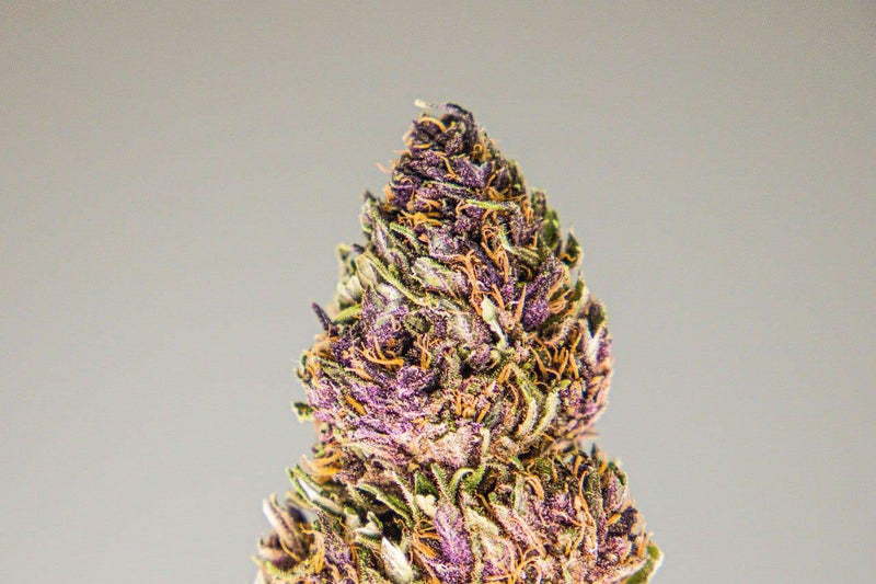 Black Dolomia 2g | Infiorescenze CBD 12 % Canapa Light Italiana