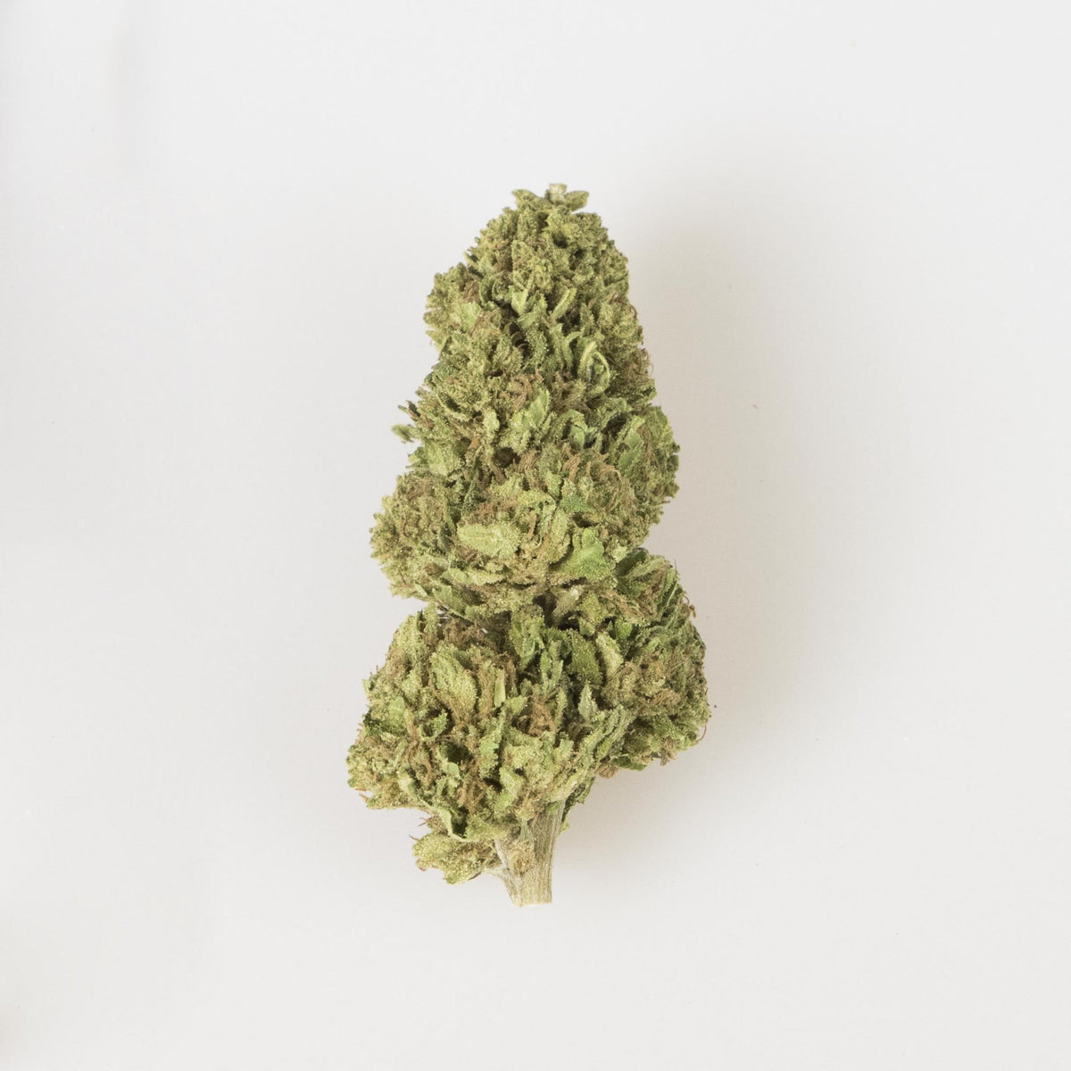Dream Therapy 5g - Cannabis Light Italia Online | La Mota CBD