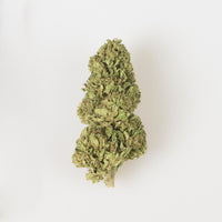 Dream Therapy 5g - Cannabis Light Italia Online | La Mota CBD