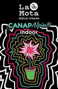 Canapalpino 5g - Erba Legale Indoor Premium | La Mota CBD