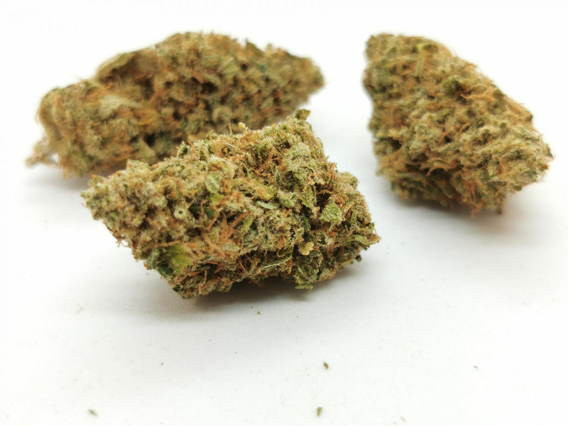 Canapalpino 2g - Cannabis Light Indoor Dolce | La Mota CBD
