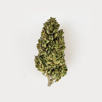 L.A. Dolomia Erba Light 2g | CBD 9% | Canapa Legale Outdoor