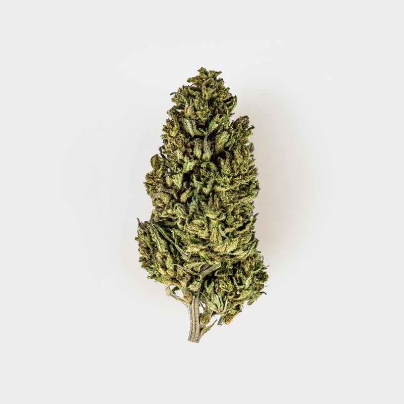 Canapa Sativa delle Dolomiti CBD L.A. Dolomia - 25 gr