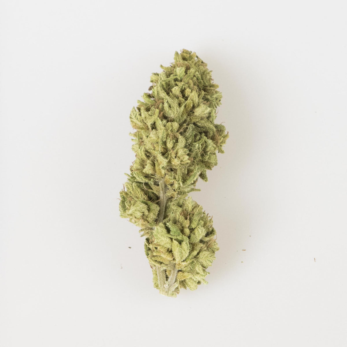 Cannabis Light MilkShake - 2 gr La mota CBD