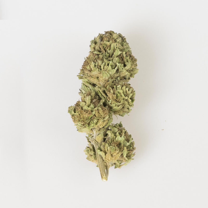Cannabis Light Legale Belumat - 2 gr La Mota CBD