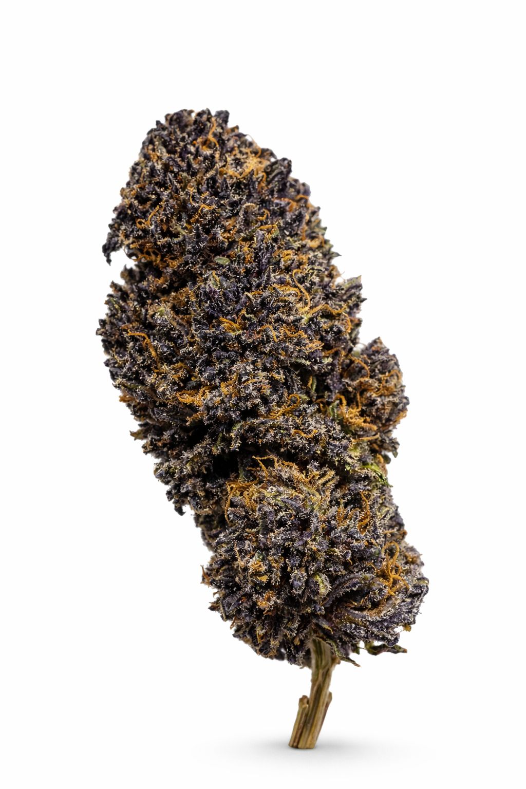 Erba legale B.O.B. La mota CBD Special 25 grammi