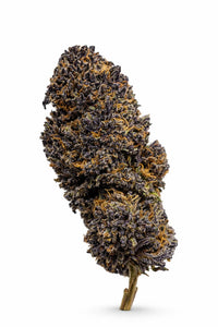 Erba legale B.O.B. La mota CBD Special 25 grammi
