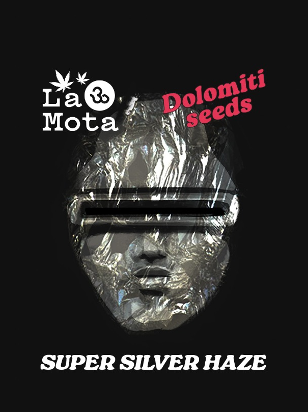 Semi Super Silver Haze Fem Fotoperiodici 1 seme