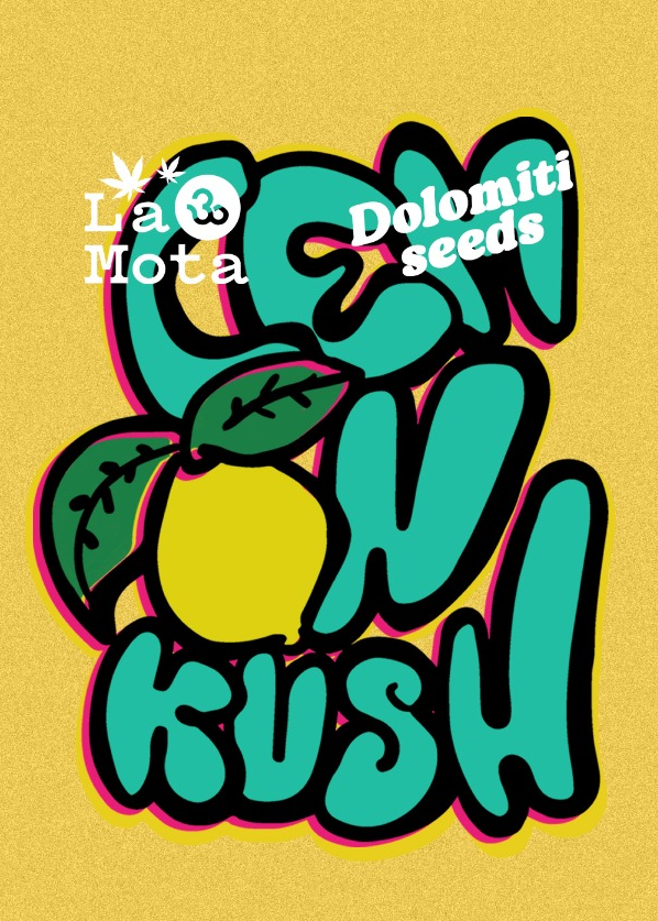 Semi Lemon Kush Fem Fotoperiodici 3 semi